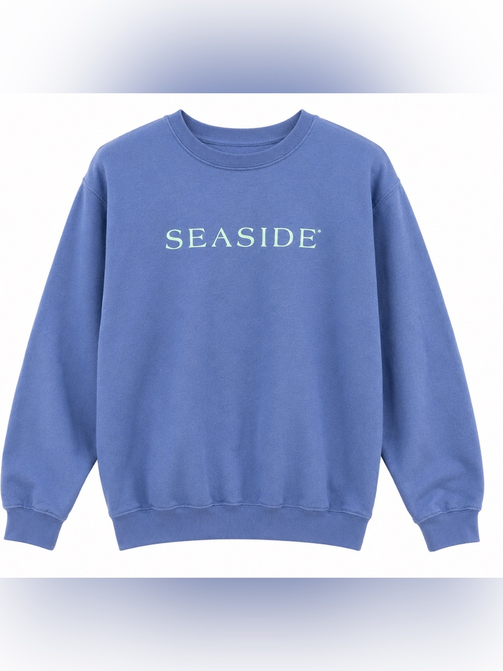 Seaside Logo Crewneck Sweatshirt in Blue